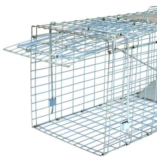 Live Animal Trap Extra Large Rodent Cage Garden Rabbit Raccoon Cat 32" X 12.5"