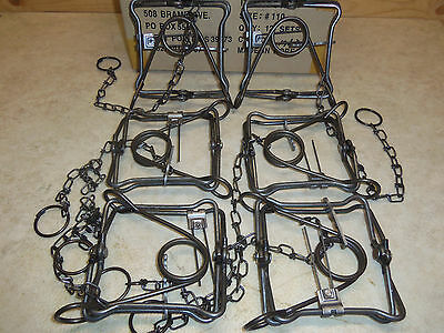 6 New Duke 110 Body Grip Traps Trapping Weasel Muskrat Mink 0400 Nuisance